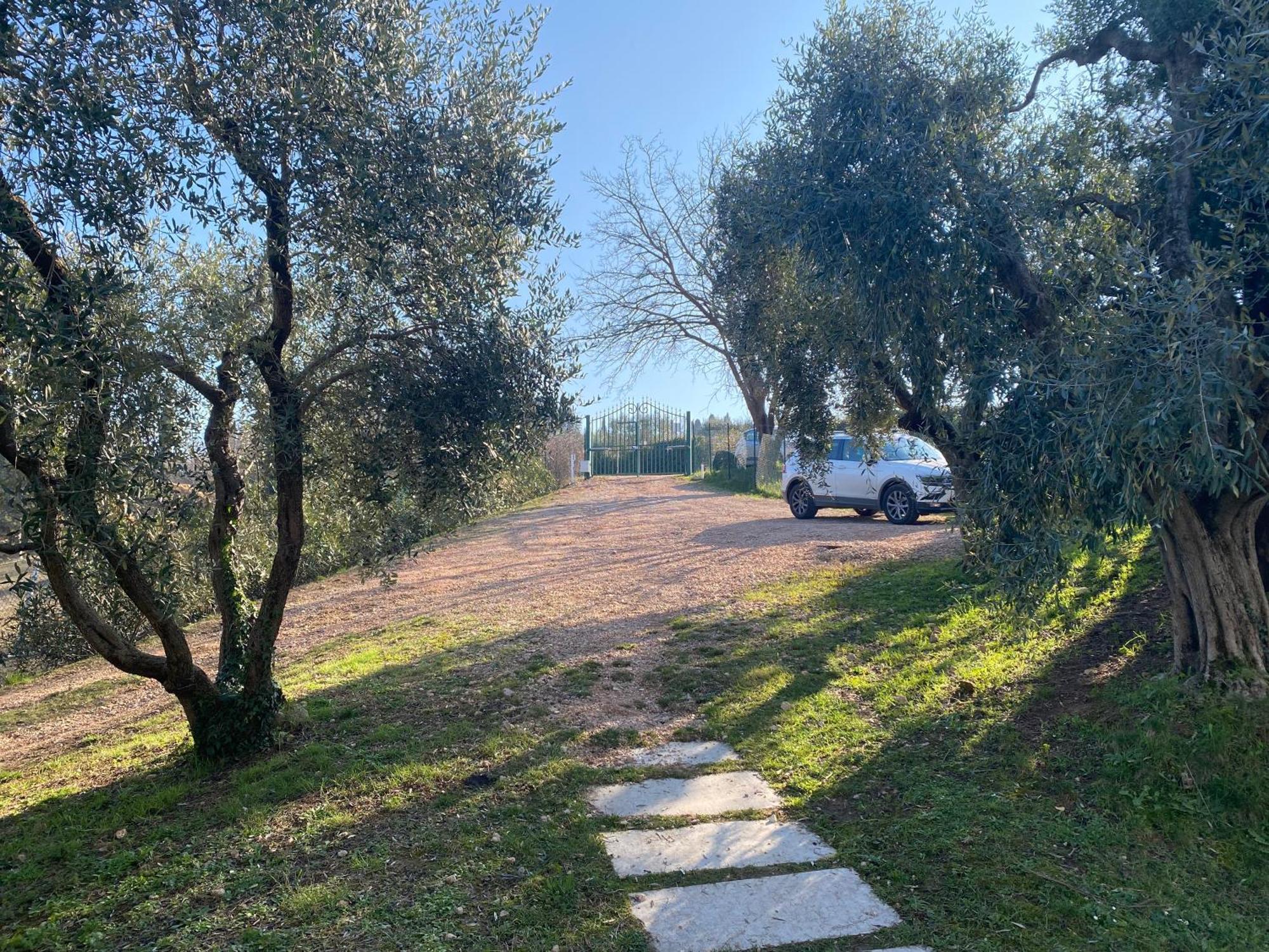 Residenza Cipressi E Olivi Apartment Verona Bagian luar foto